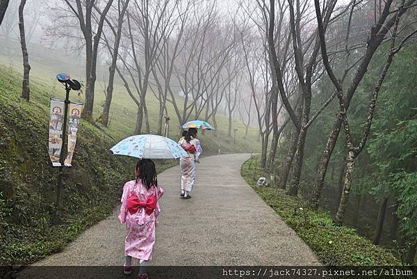 DSC03786.jpg DSC03786.jpg