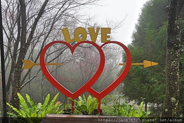 DSC03788.jpg DSC03788.jpg