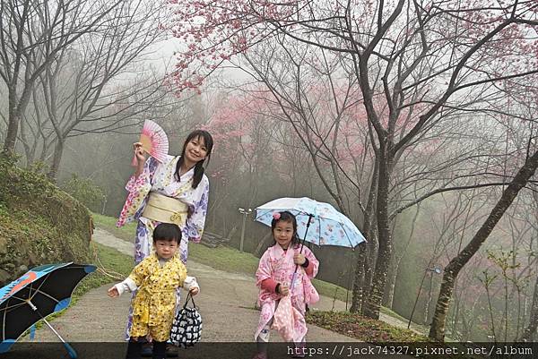 DSC03808.jpg DSC03808.jpg