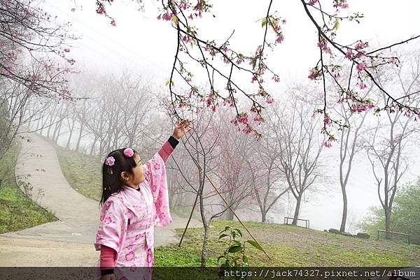 DSC03865.jpg DSC03865.jpg