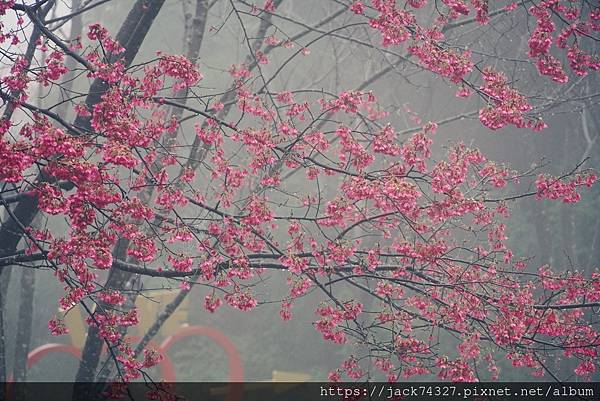 2222222.jpg 2222222.jpg