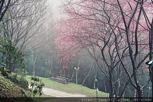 444444.jpg 444444.jpg