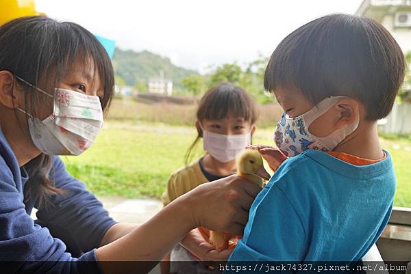 [心得] 礁溪親子景點分享：可以抱抱小鴨的甲鳥園