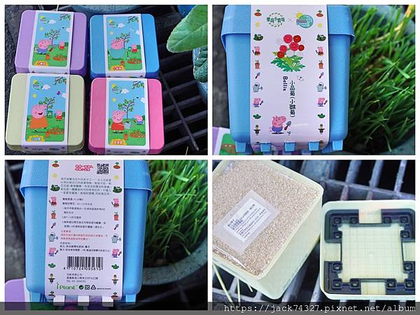 Collageaaa.jpg Collageaaa.jpg