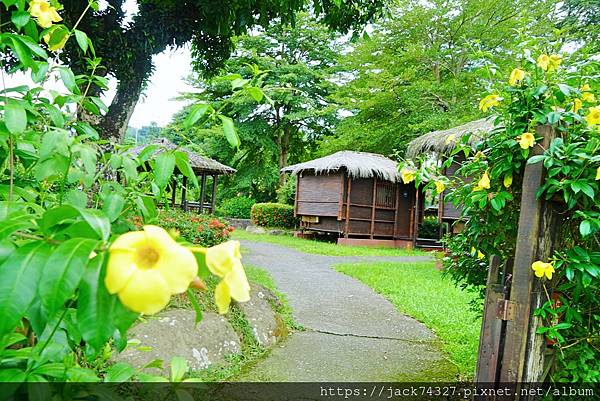 DSC03428.jpg DSC03428.jpg