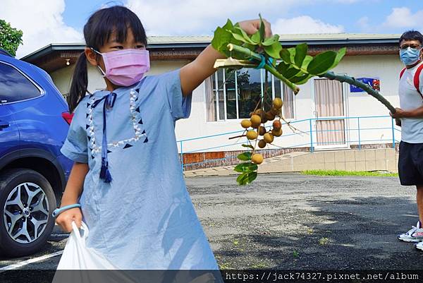 DSC03880.jpg DSC03880.jpg