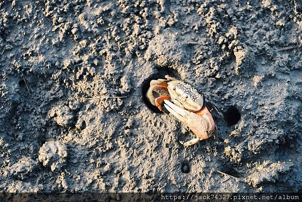 DSC04356.jpg DSC04356.jpg