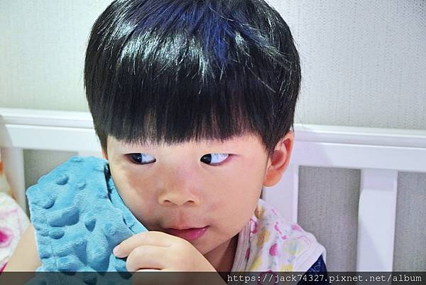 DSC08229.jpg DSC08229.jpg