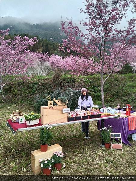 975233.jpg 的副本.jpg