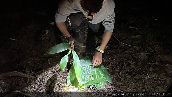 {豪華露營}蟬說全新系列即將開幕:《蟬說:霧語》深入泰雅部落