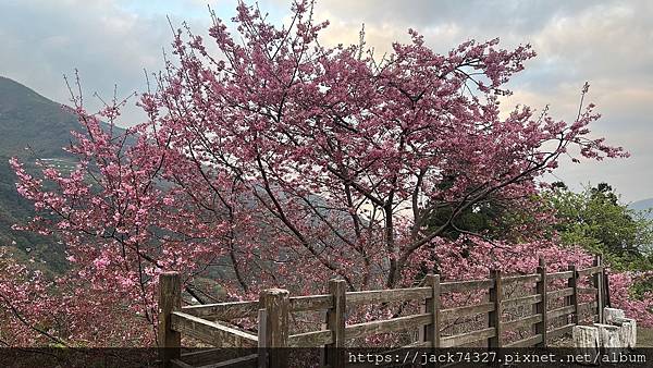 {豪華露營}蟬說全新系列即將開幕:《蟬說:霧語》深入泰雅部落