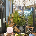 DSC02162.jpg