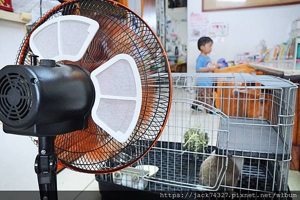 DSC03154.jpg DSC03154.jpg