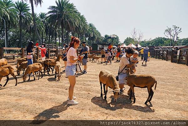 {桃園景點}埔心牧場最新萌萌村遊玩攻略，5米豚神、遊園小火車