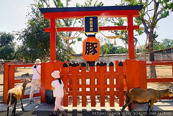 {桃園景點}埔心牧場最新萌萌村遊玩攻略，5米豚神、遊園小火車