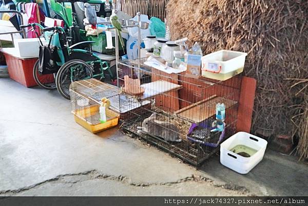 {台中美食}田寮農莊、台中南屯、寵物友善、景觀餐廳 {台中美食}田寮農莊、台中南屯、寵物友善、景觀餐廳
