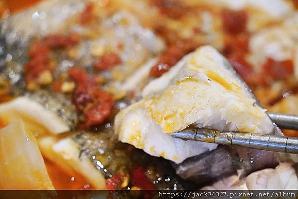 {台中美食}田寮農莊、台中南屯、寵物友善、景觀餐廳 {台中美食}田寮農莊、台中南屯、寵物友善、景觀餐廳