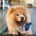 DSC05872.jpg