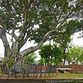 DSC01921.jpg