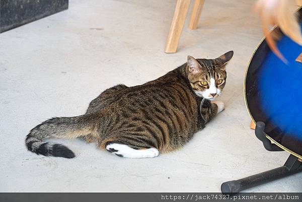 {台中美食}黑宿咖啡 Hei-Siou Café /悠閒靜謐 {台中美食}黑宿咖啡 Hei-Siou Café /悠閒靜謐