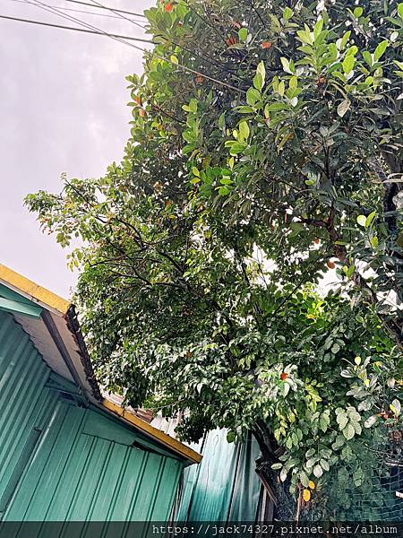 {澳門美食}路環漢記咖啡,隱身在廢棄船廠的神秘咖啡店,超推豬 {澳門美食}路環漢記咖啡,隱身在廢棄船廠的神秘咖啡店,超推豬