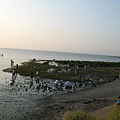 20090912-風景海岸 (45).JPG