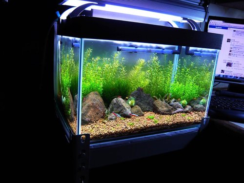 1個月過後 草堂aqua Style 痞客邦