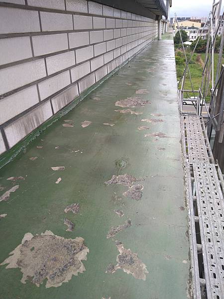 DSC_1004.jpg DSC_1004.jpg