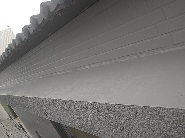 DSC_1087.jpg DSC_1087.jpg