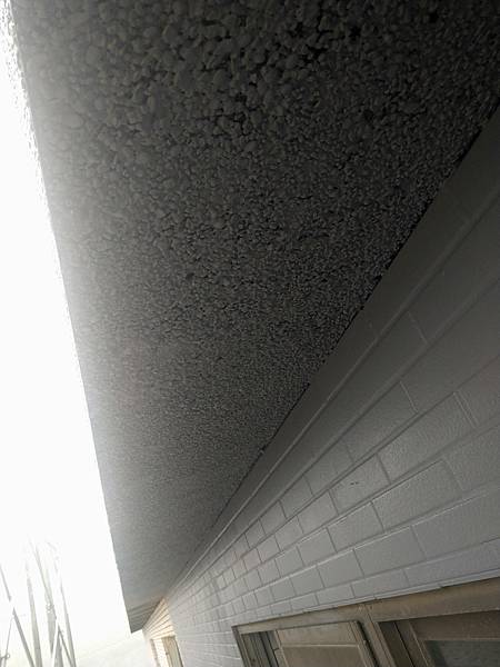 DSC_1095.jpg DSC_1095.jpg