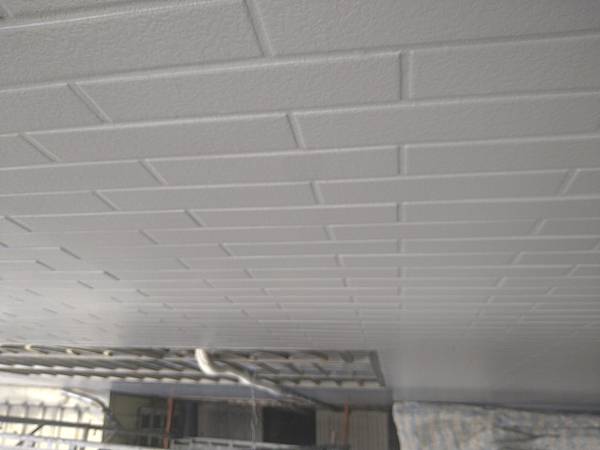 DSC_1098.jpg DSC_1098.jpg