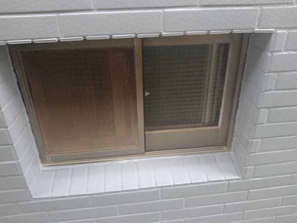 DSC_1103.jpg DSC_1103.jpg