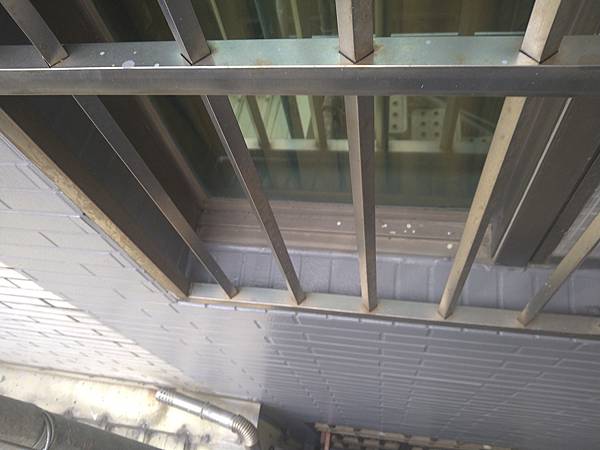 DSC_1110.jpg DSC_1110.jpg