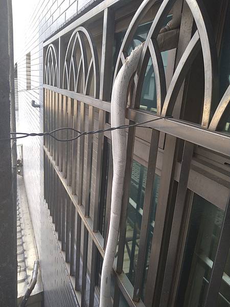 DSC_1109.jpg DSC_1109.jpg