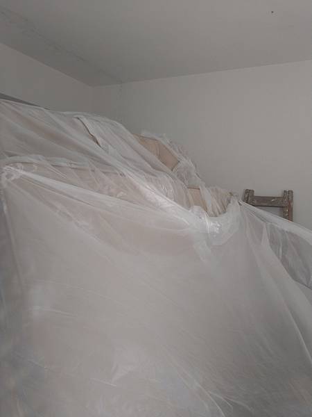 DSC_1398.jpg DSC_1398.jpg