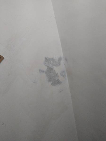 DSC_1406.jpg DSC_1406.jpg