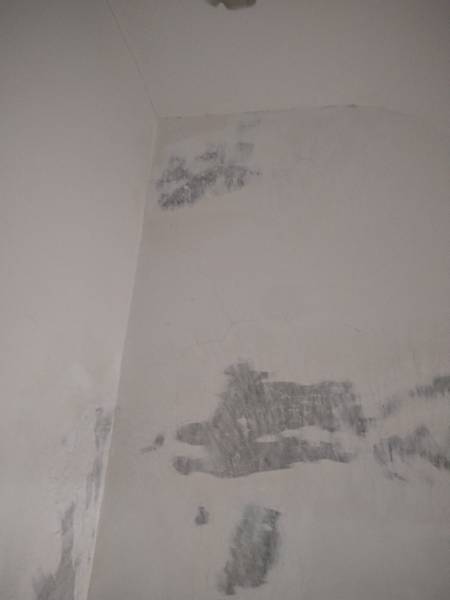 DSC_1405.jpg DSC_1405.jpg