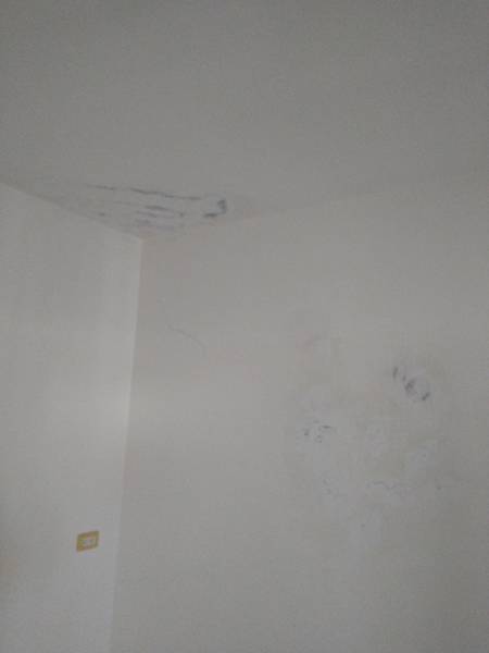 DSC_1408.jpg DSC_1408.jpg