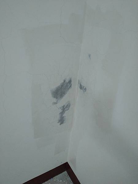 DSC_1431.jpg DSC_1431.jpg