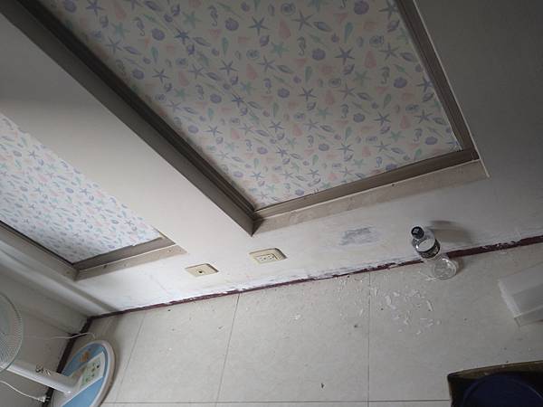 DSC_1443.jpg DSC_1443.jpg