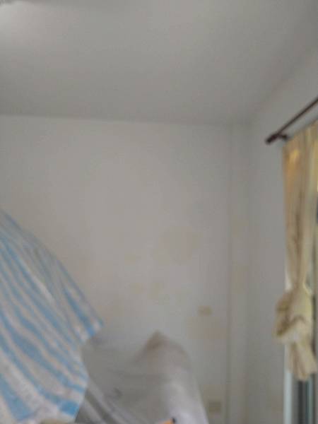 DSC_1452.jpg DSC_1452.jpg