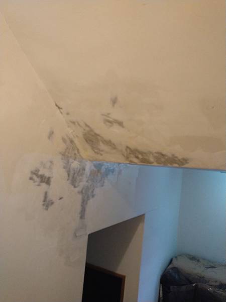 DSC_1457.jpg DSC_1457.jpg