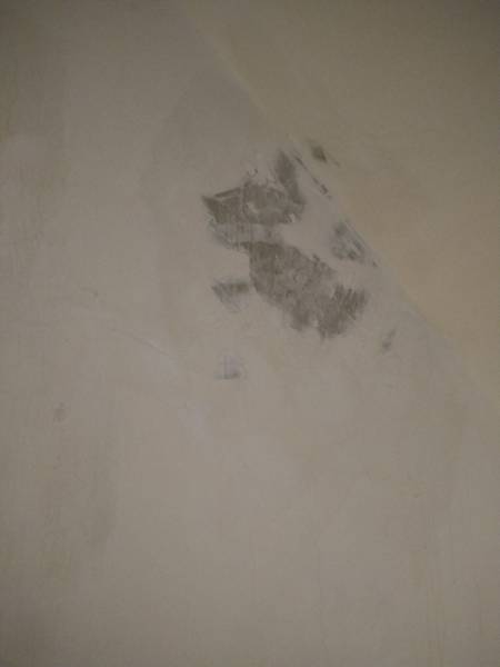 DSC_1460.jpg DSC_1460.jpg