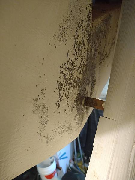 DSC_1459.jpg DSC_1459.jpg