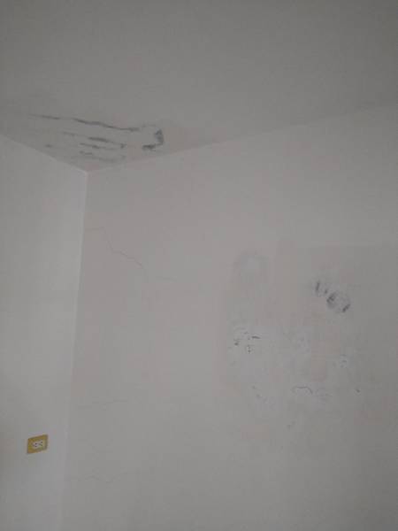 DSC_1464.jpg DSC_1464.jpg