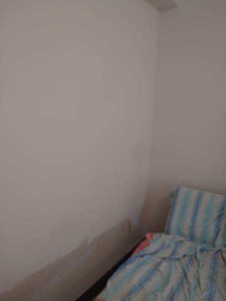 DSC_1517.jpg DSC_1517.jpg