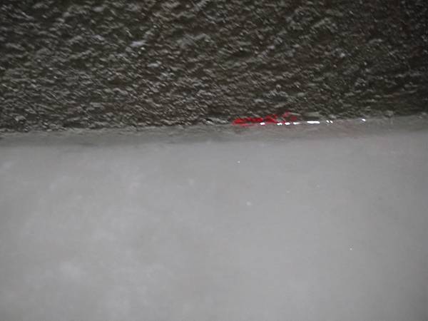 DSC_1705.jpg DSC_1705.jpg