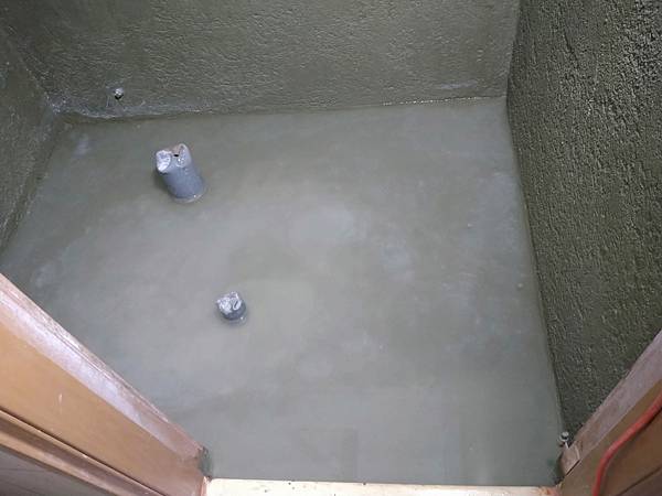 DSC_1701.jpg DSC_1701.jpg