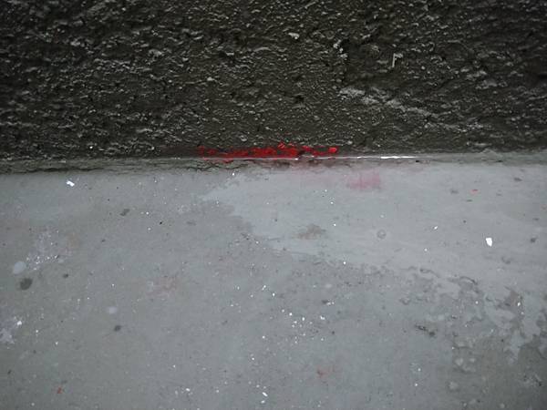 DSC_1707.jpg DSC_1707.jpg