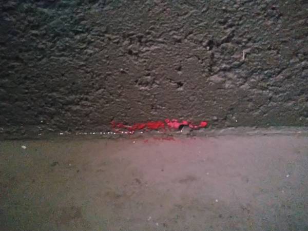 DSC_1775.jpg DSC_1775.jpg